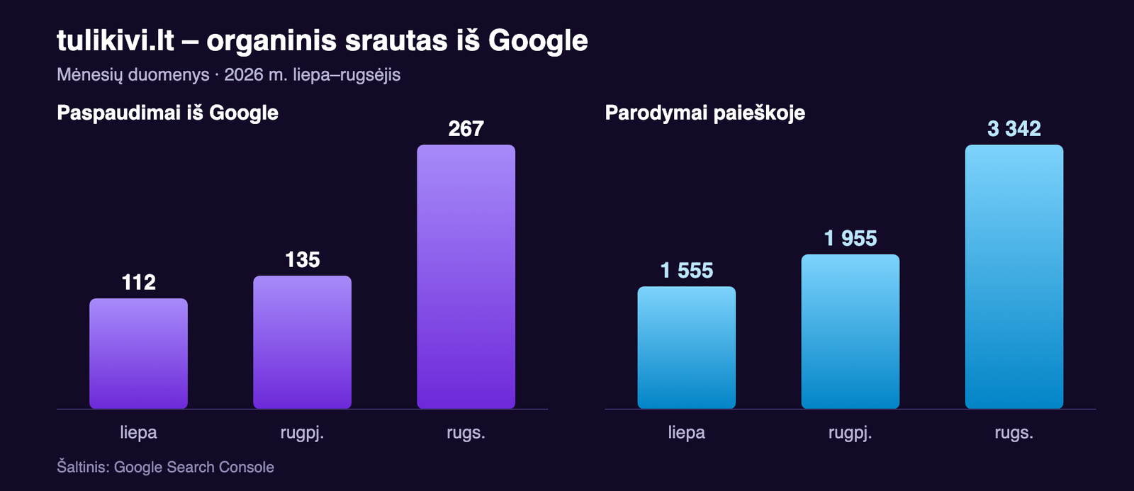 tulikivi.lt organinis srautas iš Google – Search Console paspaudimai ir parodymai pagal mėnesius